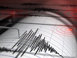 Рядом с Текели произошло землетрясение магнитудой 4,6 