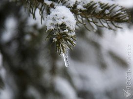 ​В ближайшие два дня на юге Казахстана ожидается похолодание