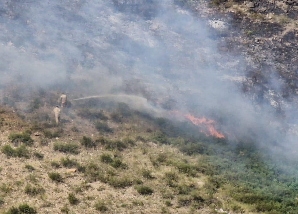 Пожар в Приморском лесничестве в Восточном Казахстане ликвидирован – ДЧС