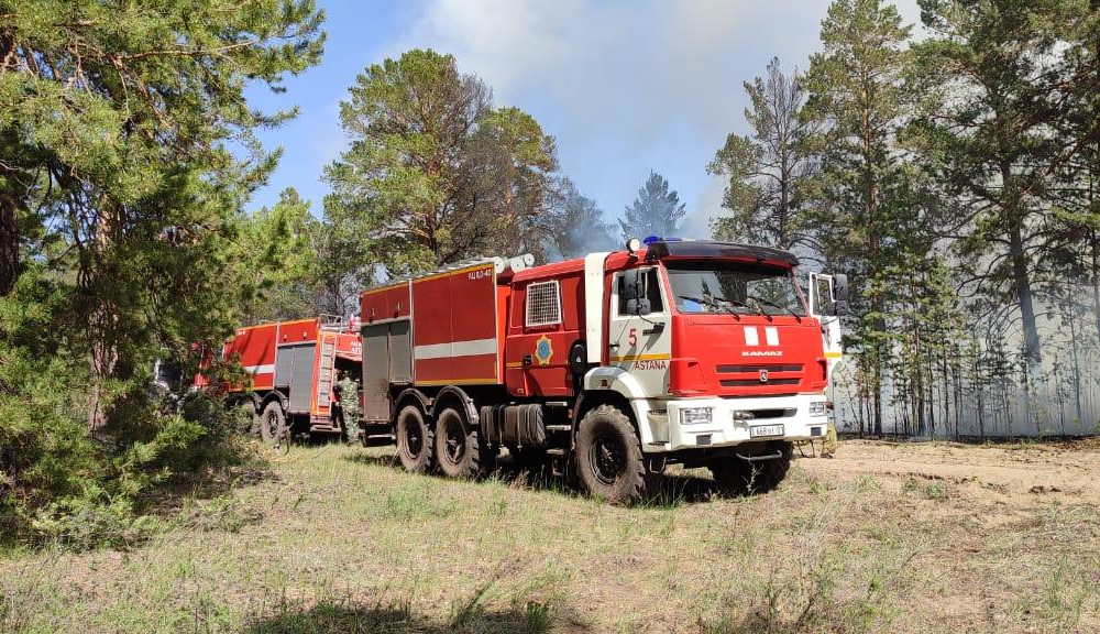 В Бородулихинском районе области Абай объявят режим ЧС из-за лесного пожара