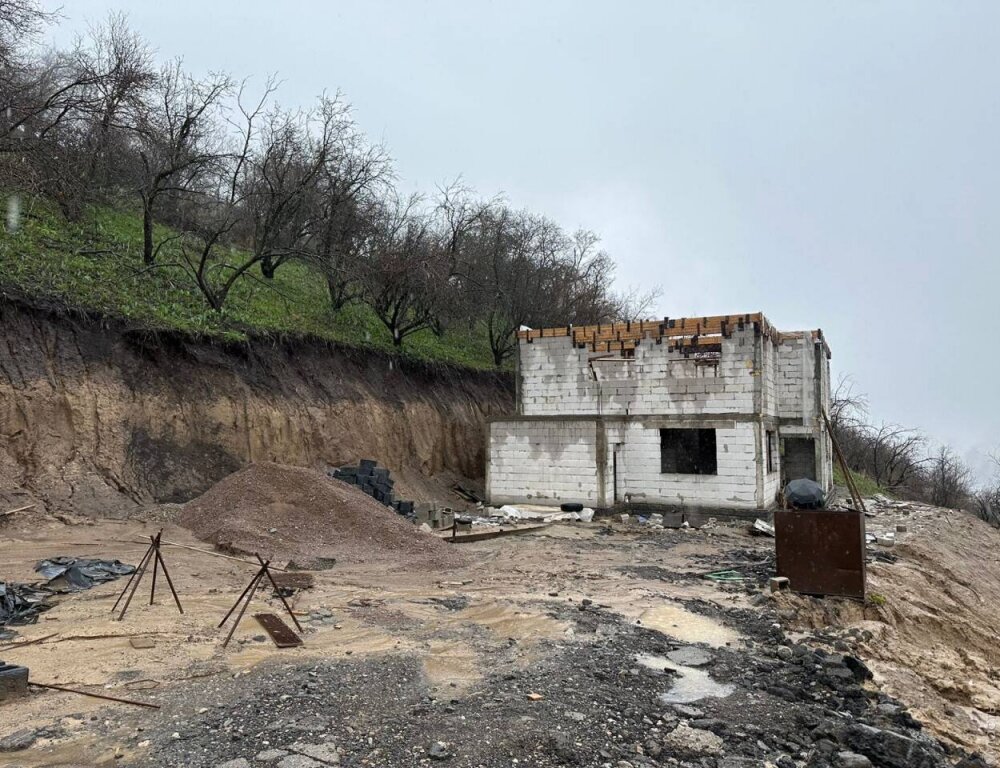 Глава МВД не знает, почему полиция Алматы и области не расследовала факты незаконного среза горных массивов