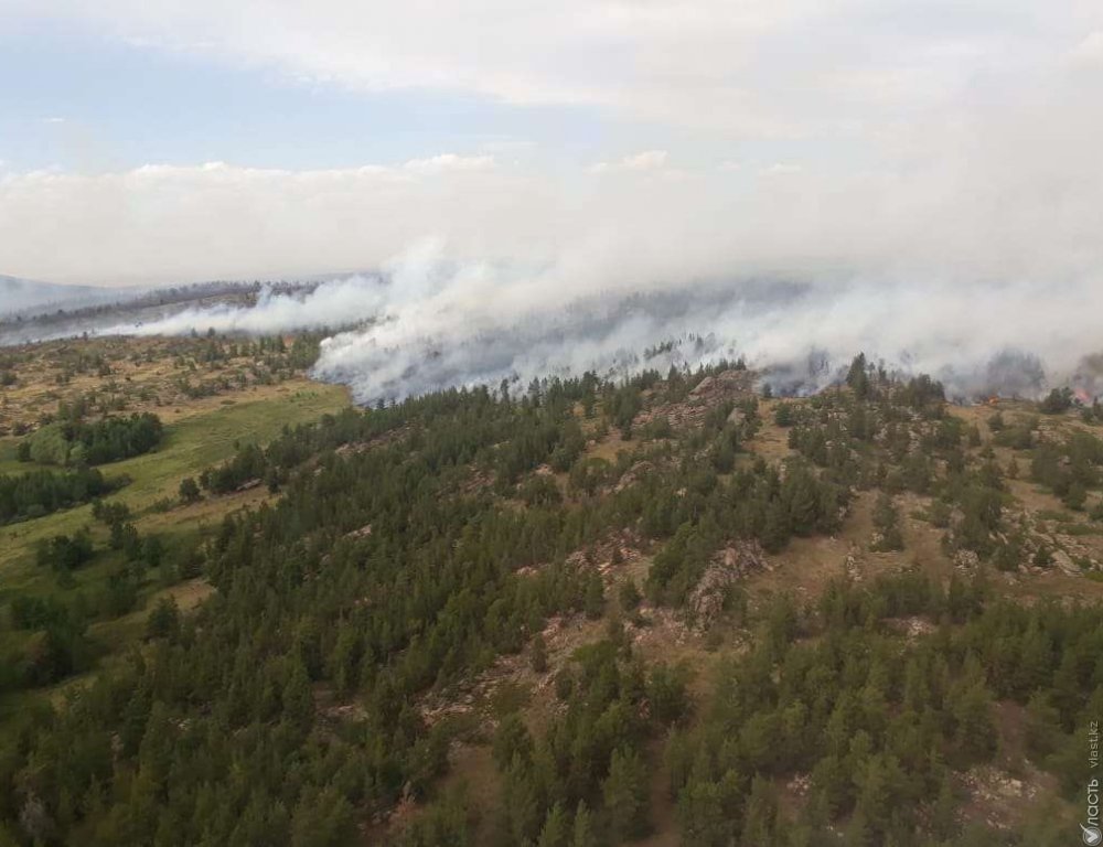 Почти 500 лесных пожаров произошло в Казахстане с начала года