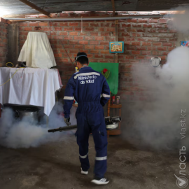 Вспышка лихорадки денге в Перу указывает на рост популяции комаров из-за изменения климата