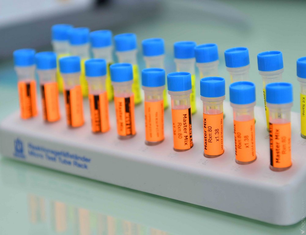Увеличить количество проводимых тестов на коронавирус до 25 тыс. в сутки поручил Токаев