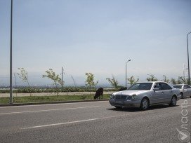 ​В ДТП на трассе в Западно-Казахстанской области погибли граждане Узбекистана 