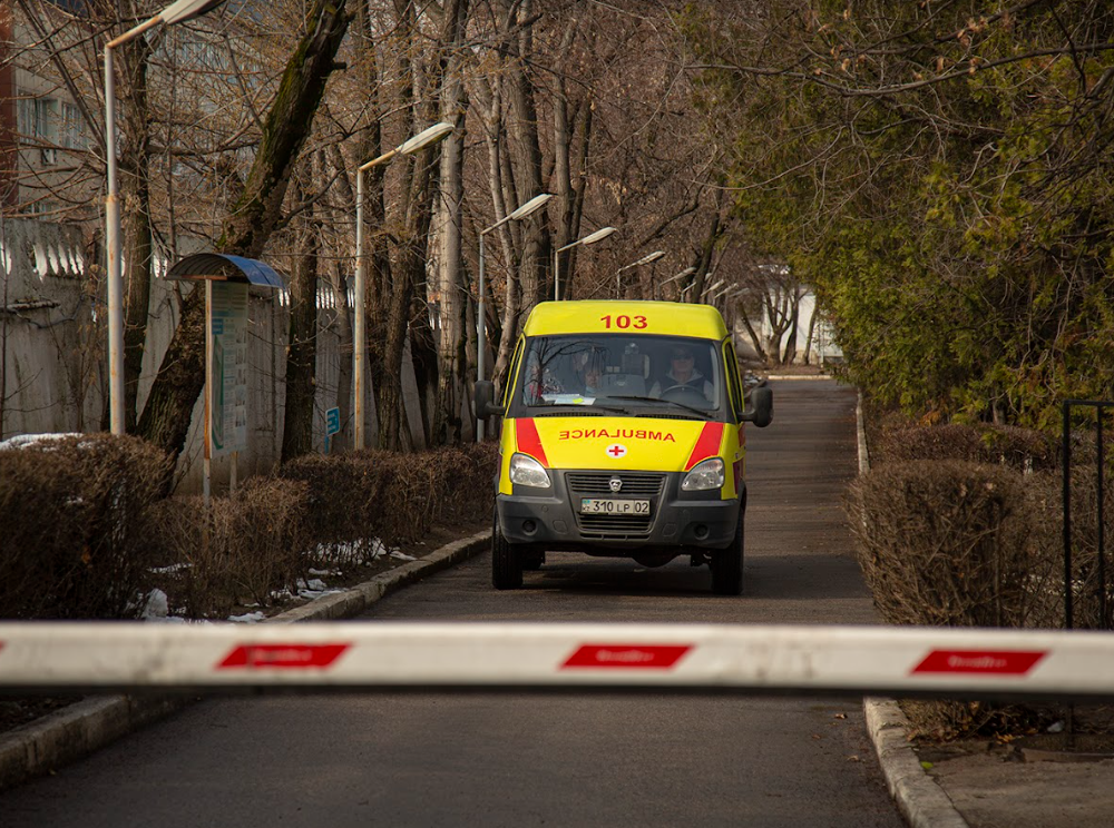 В Алматы четверо детей госпитализированы в больницу после дезинсекции в отеле