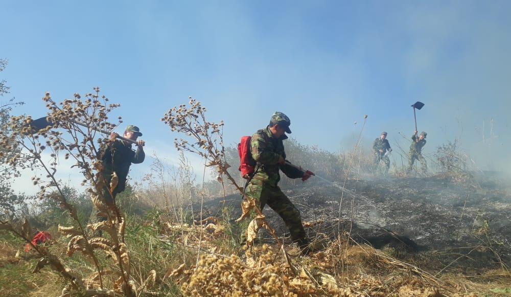 Возгорание сухостоя на Кок-Тобе полностью ликвидировано