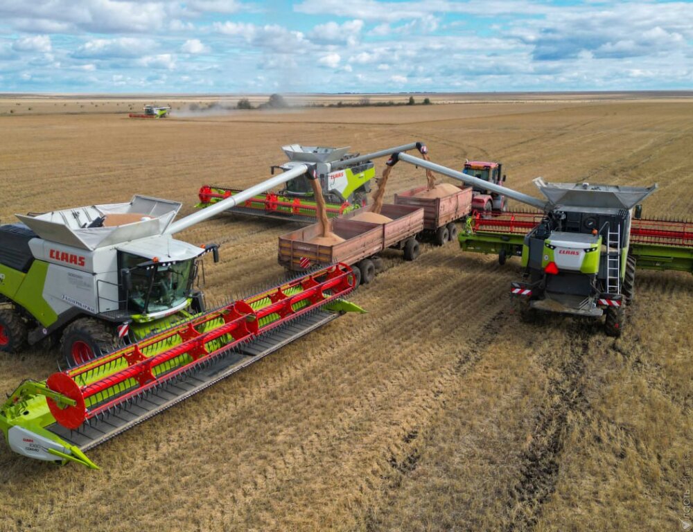 Почти 21 млн тонн зерна намолочено в Казахстане