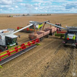 Почти 21 млн тонн зерна намолочено в Казахстане