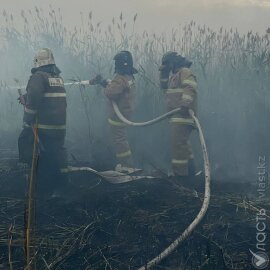 На побережье Каспия в Атырауской области загорелся камыш