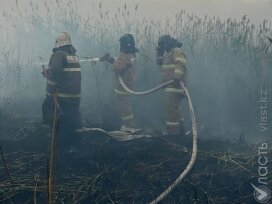 На побережье Каспия в Атырауской области загорелся камыш