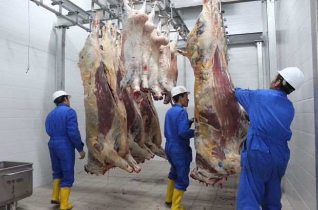В МСХ прокомментировали планы Россельхознадзора ограничить ввоз животноводческой продукции