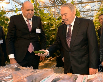 Мы прилагаем необходимые усилия для того, чтобы Шымкент стал городом-миллионником – Назарбаев