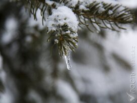 Первые дни декабря в Казахстане будут морозными 