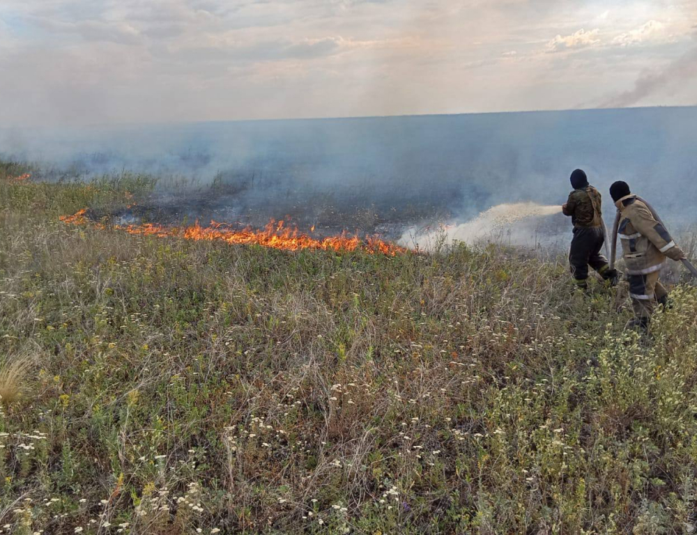 В горах Жамбылской области локализовано возгорание сухостоя 
