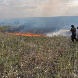 В горах Жамбылской области локализовано возгорание сухостоя 