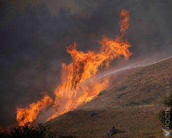 Примерная площадь пожара склона горы возле поселка Ерменсай составляет 20 -22 гектара
