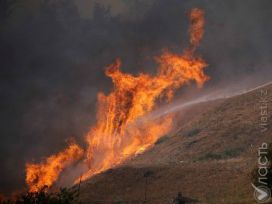 Примерная площадь пожара склона горы возле поселка Ерменсай составляет 20 -22 гектара