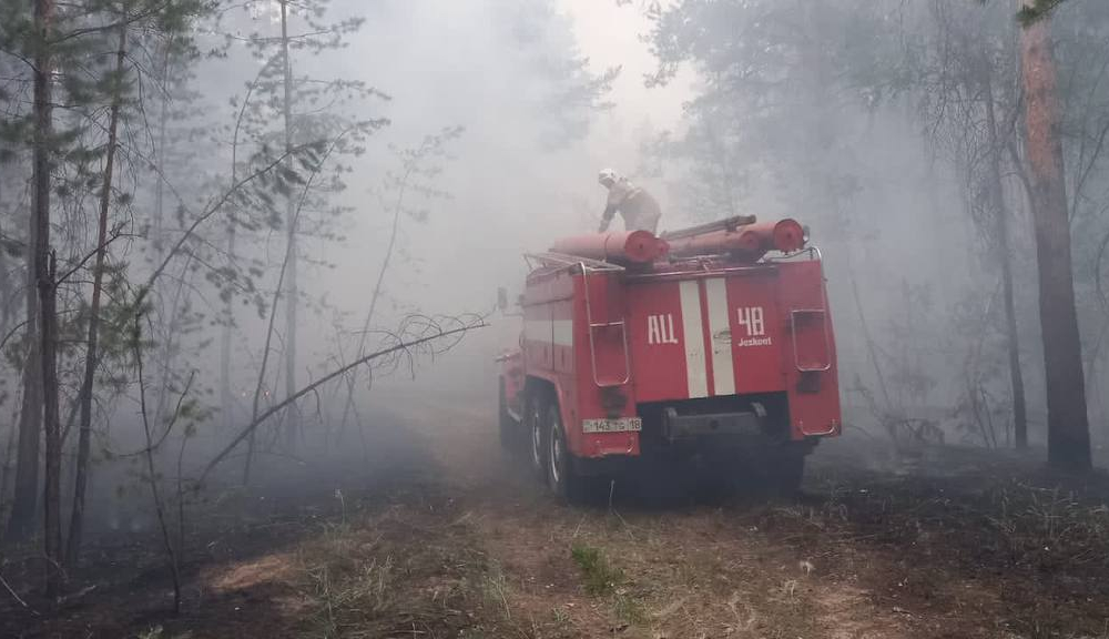 Несколько районов области Жетысу накрыл густой дым