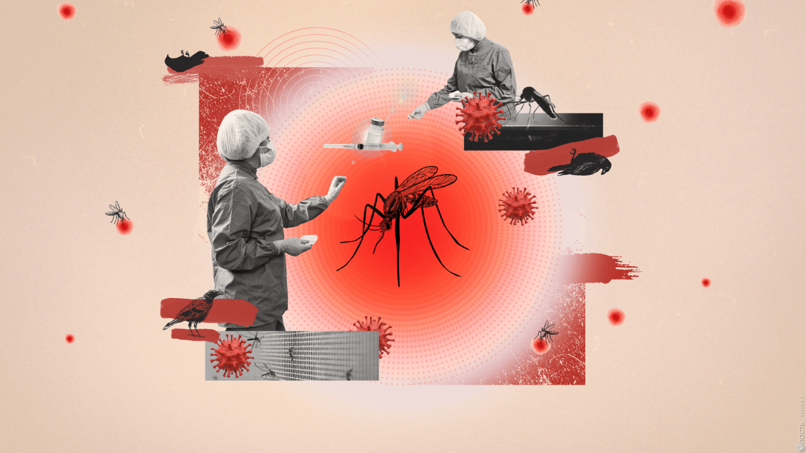 Ең қауіпті жәндік