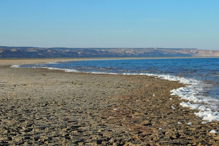 1,4 млн тенге будет потрачено на экспедицию по исследованию Аральского моря