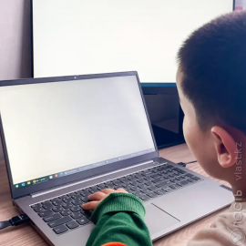 В Костанайской области более 1,5 тыс. школьников перевели на онлайн-обучение из-за ОРВИ и гриппа