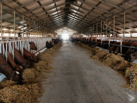 Фермеры отказались от предложения правительства освободить их от НДС, заявили в Миннацэкономики