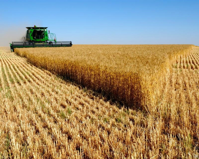 Законодательная база по приватизации сельхозземель будет внесена в парламент осенью – Ускенбаев