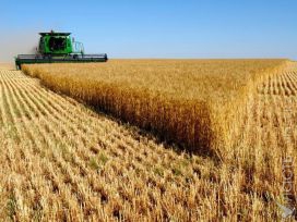 Законодательная база по приватизации сельхозземель будет внесена в парламент осенью – Ускенбаев