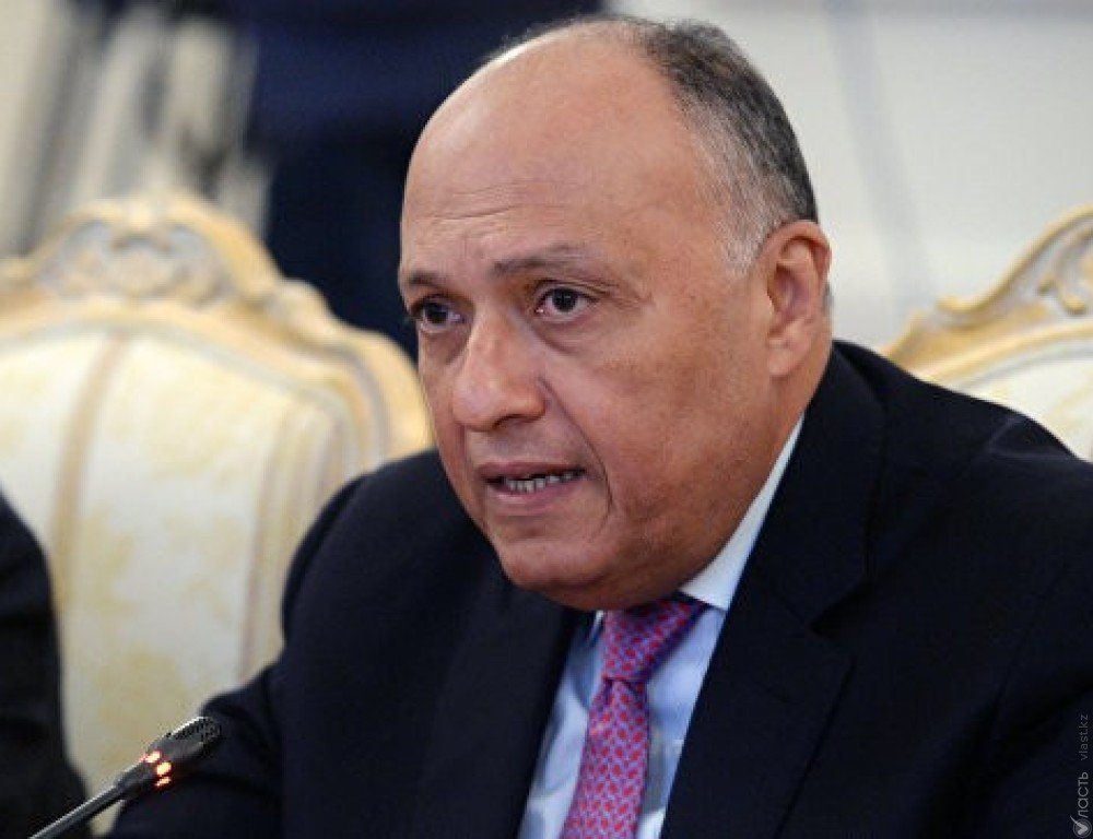 ​Глава МИД Египта пообещал объяснить причины задержания шести казахстанских граждан