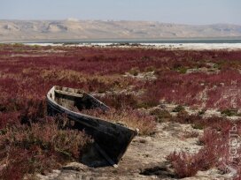 Минводы проведет общественные слушания по второй фазе проекта восстановления Северного Арала