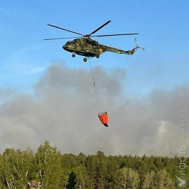 К тушению лесного пожара в «Ертіс Орманы» привлекли авиацию Вооруженных сил