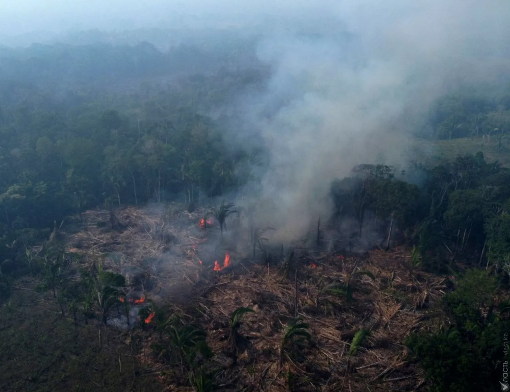 Уровень углекислого газа в атмосфере достиг самого высокого уровня за всю историю наблюдений