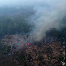 Уровень углекислого газа в атмосфере достиг самого высокого уровня за всю историю наблюдений