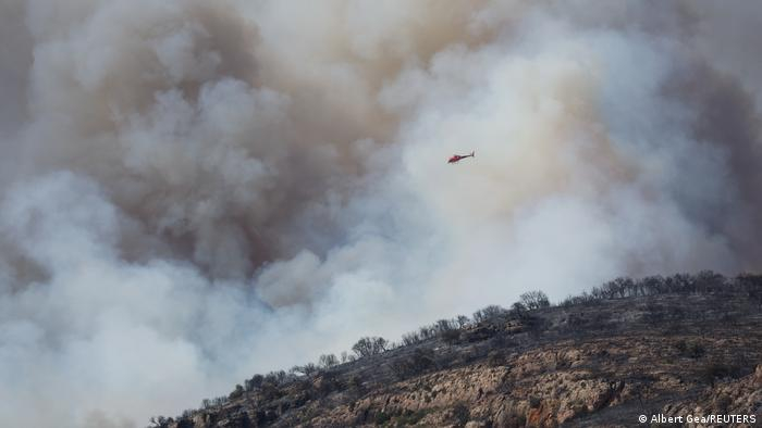 В Германии, Греции и Испании жителей эвакуировали из-за лесных пожаров 