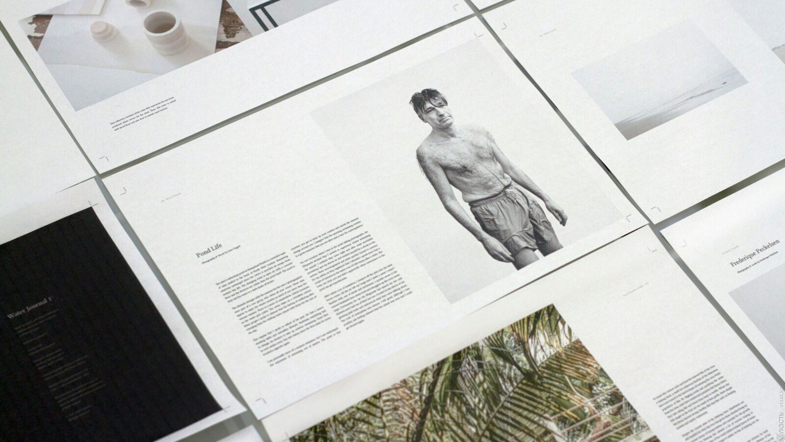 Салық реформасы креатив индустрияны қалай құрдымға кетіруі мүмкін?