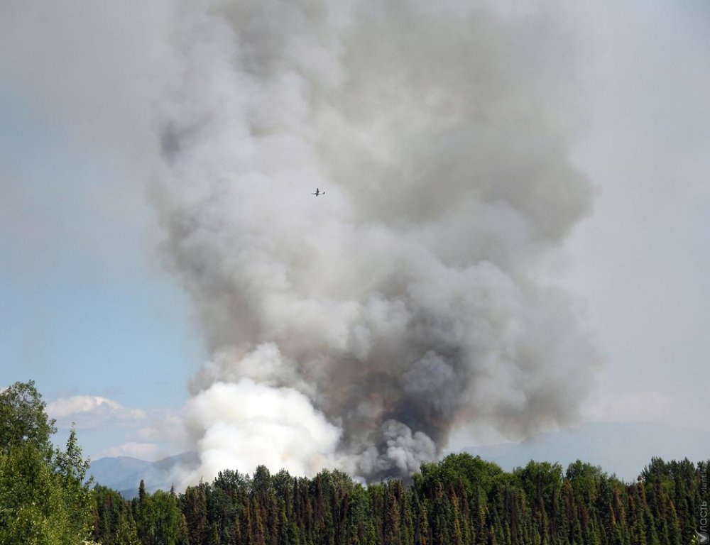 Количество пожаров в Амазонских лесах достигло исторического максимума