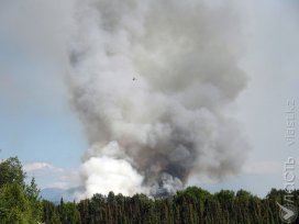 Количество пожаров в Амазонских лесах достигло исторического максимума