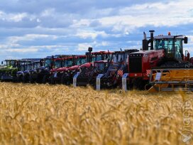 Аграрии северных регионов жалуются на проблемы с сушкой зерна – Бектенов