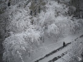 Снег, усиление ветра и морозы ожидаются в Казахстане