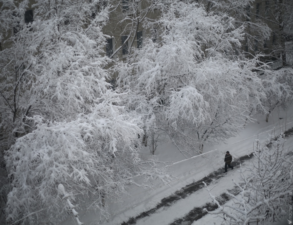 В Казахстане ожидаются снегопады