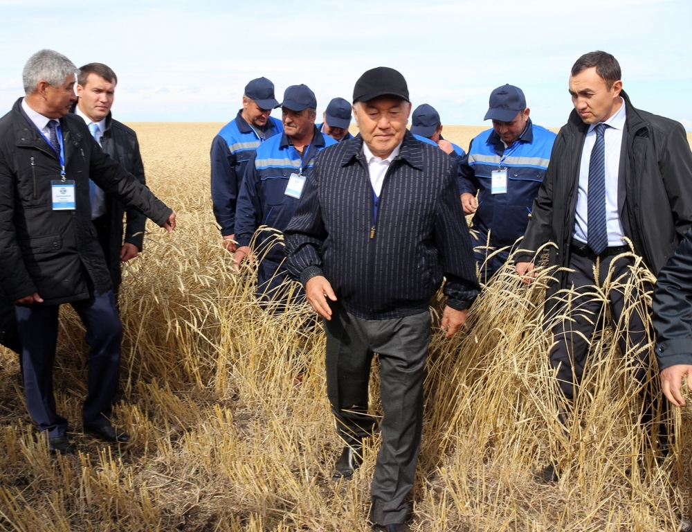 В Казахстане убрано 65% урожая пшеницы 
