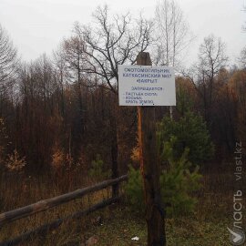 В Актюбинской области скотомогильники расположены вблизи населенных пунктов без ограждений, выявили прокуроры