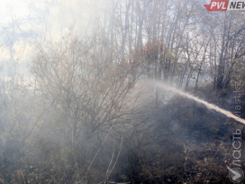 Три пожара из-за возгорания сухостоя произошло в Экибастузе