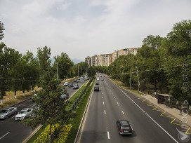 60% нарушений иностранных автоперевозчиков в Казахстане приходится на кыргызские авто – Касымбек