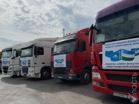 В Казахстан из Узбекистана и Таджикистана прибыла гуманитарная помощь пострадавшим от паводков