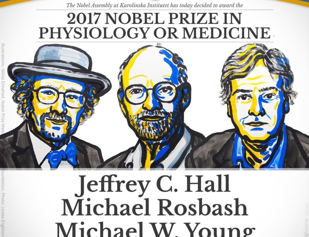 ​Нобелевскую премию по физиологии и медицине присудили за изучение биологических часов
