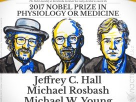 ​Нобелевскую премию по физиологии и медицине присудили за изучение биологических часов
