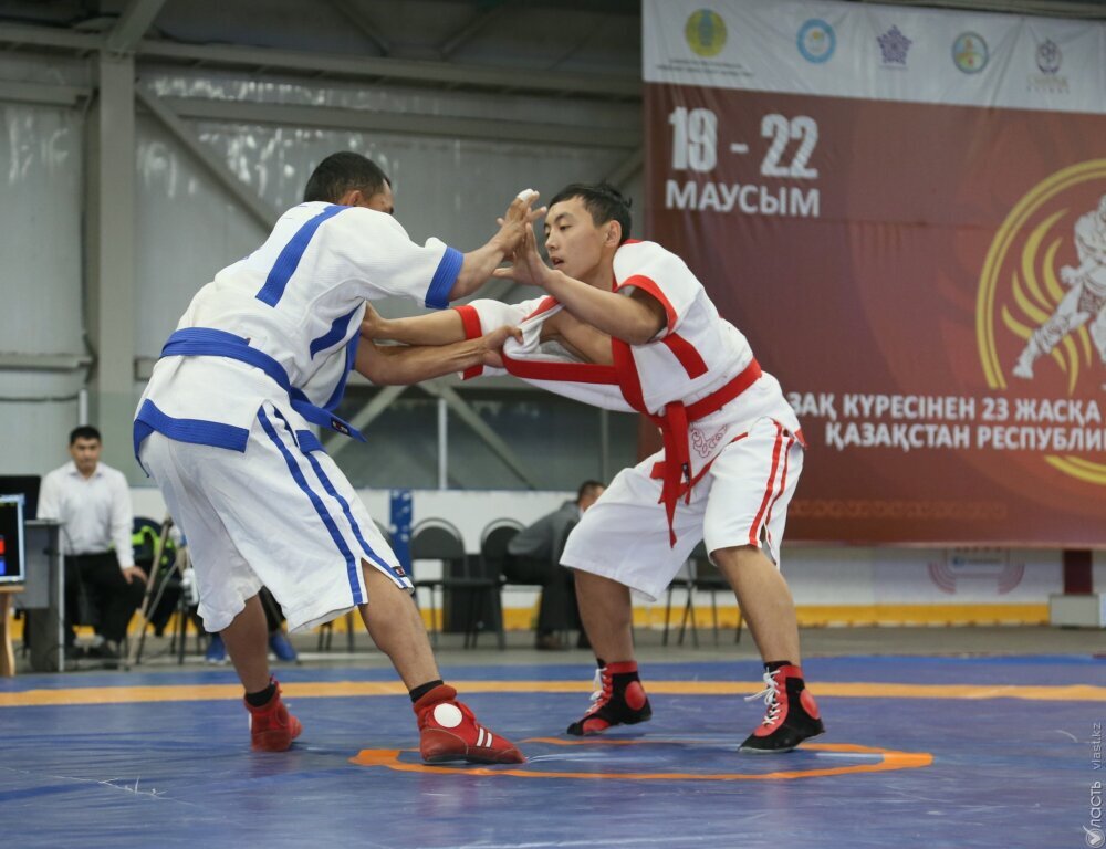 В Казахстане законодательно закреплено внедрение национальных видов спорта в школах