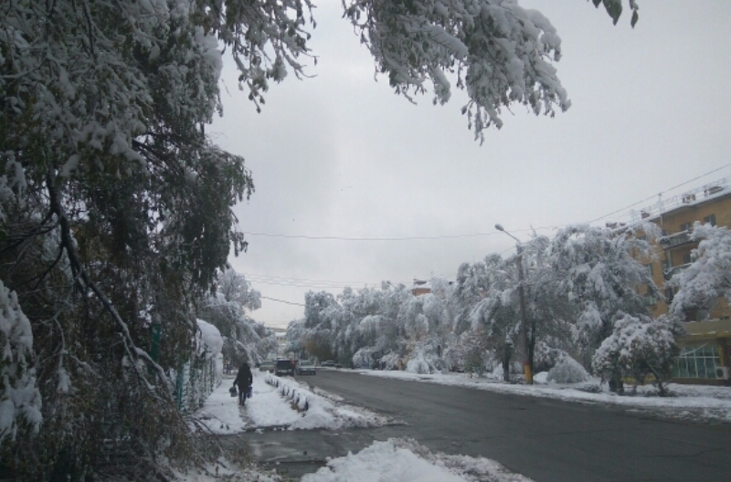 ​В Таразе четвертые сутки устраняют последствия пятничного снегопада